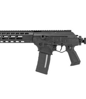 IWI Galil Ace Gen 2 Semi-automatic Rifle in 556 NATO, 16" Barrel, Black Finish, Side Folding Stock, 1 Gen 3 PMAG, 30Rd - $1499 + FREE Caliber...